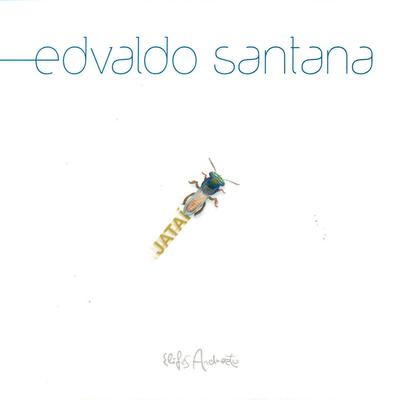 Nada no mundo é igual By Edvaldo Santana's cover
