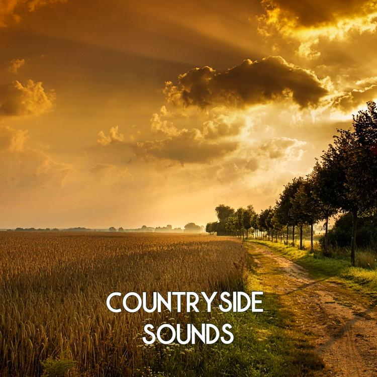 Countryside Sounds's avatar image