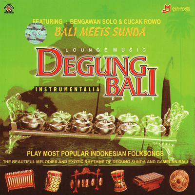 Lounge Music Degung Bali Part 3's cover