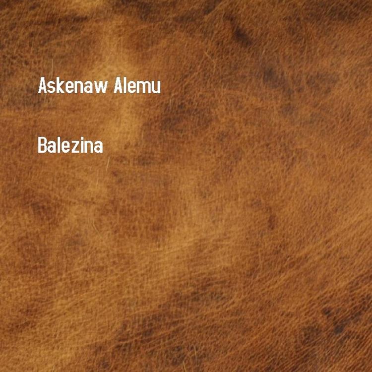 Askenaw Alemu's avatar image