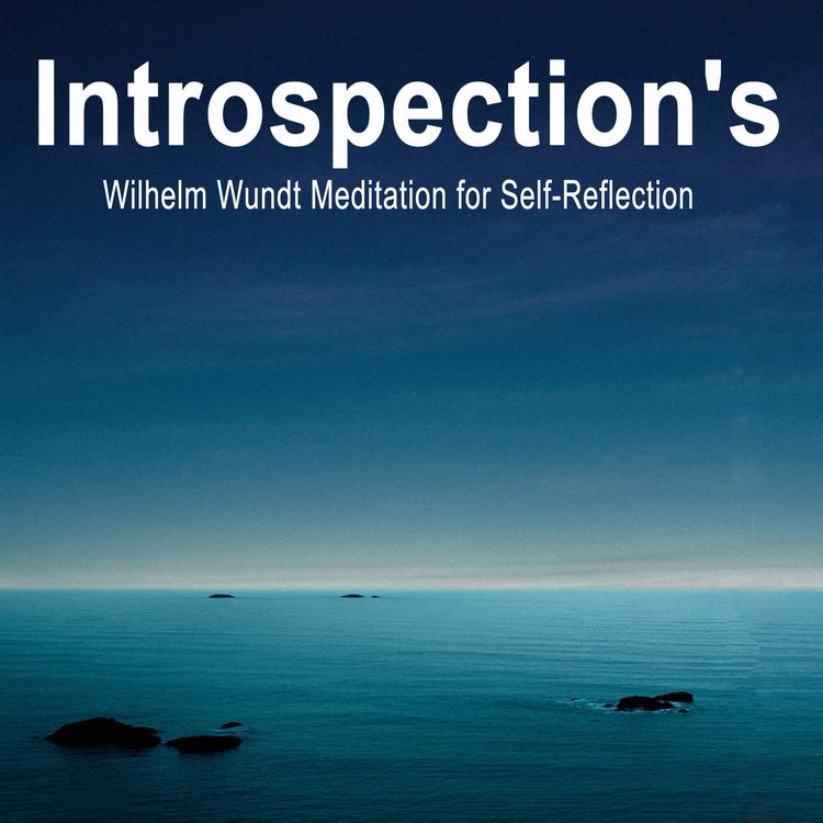 The Method of Introspection's avatar image