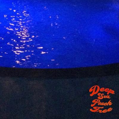 Xanzibar By Deep Sea Peach Tree's cover