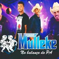 Forró Mulleke's avatar cover