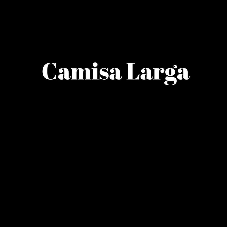 Camisa Larga's avatar image