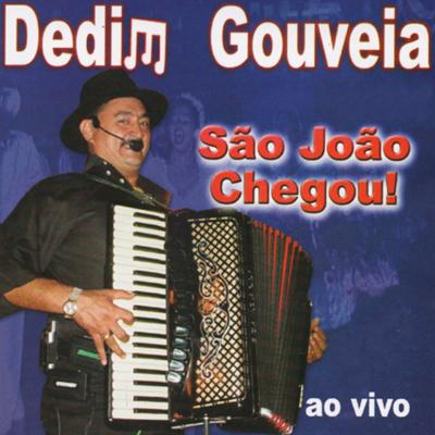 Bandeira da Paz (Ao Vivo) By Dedim Gouveia's cover