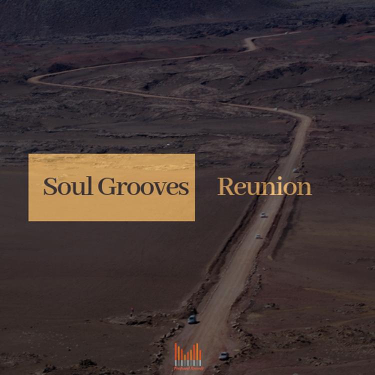 Soul Grooves's avatar image