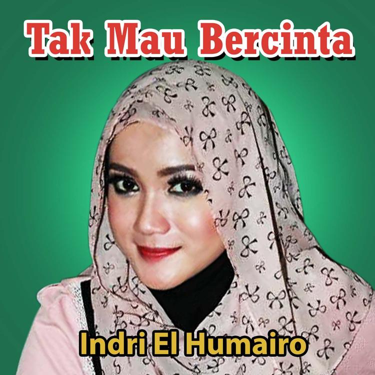 Indri El Humairo's avatar image