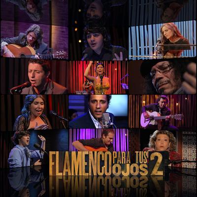 Flamenco para Tus Ojos, Vol. 2's cover