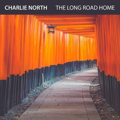 Flying Blind By Charlie North's cover