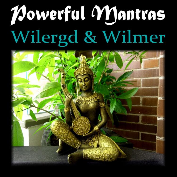 Wilergd & Wilmer's avatar image