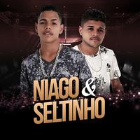 Niago e Seltinho's avatar cover