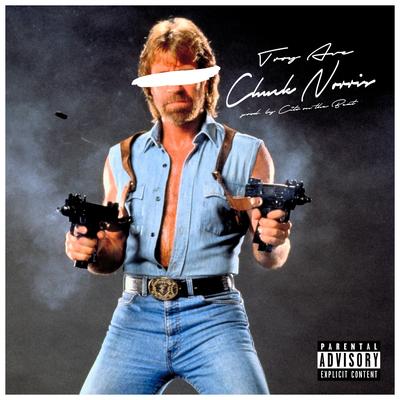 Chuck Norris (Hoes & Gangstas) By Troy Ave's cover