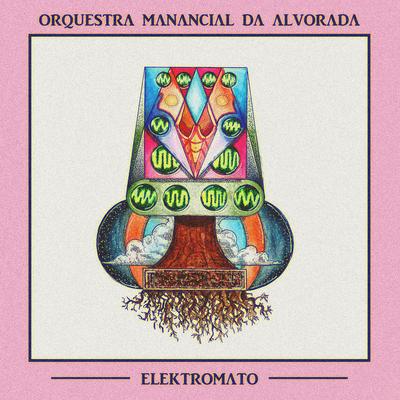 Elektromato By Orquestra Manancial da Alvorada's cover