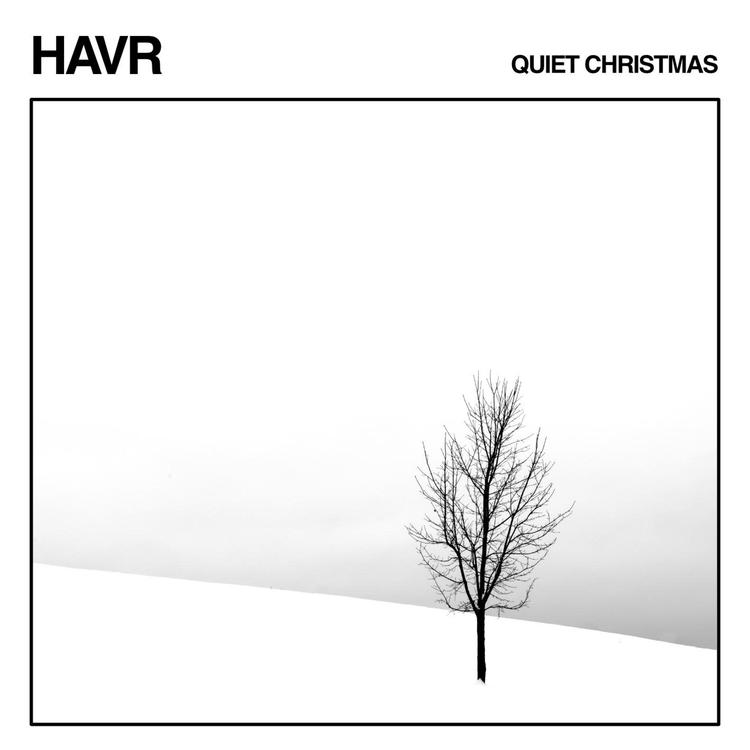 HAVR's avatar image