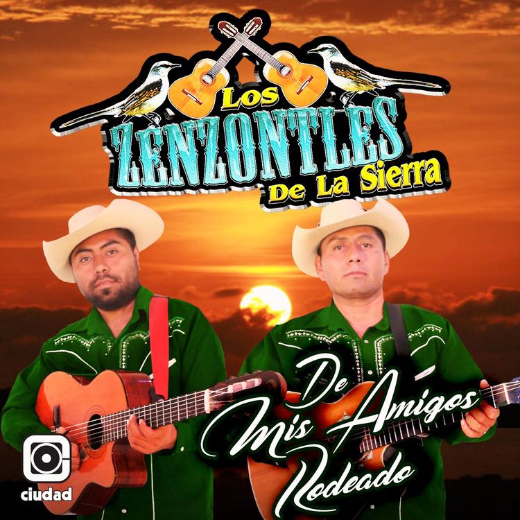 Los Zenzontles de la Sierra's avatar image