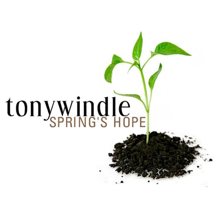 Tony Windle's avatar image