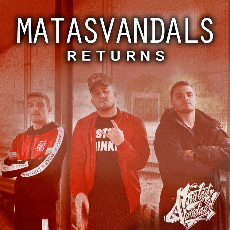 Matasvandals's avatar image