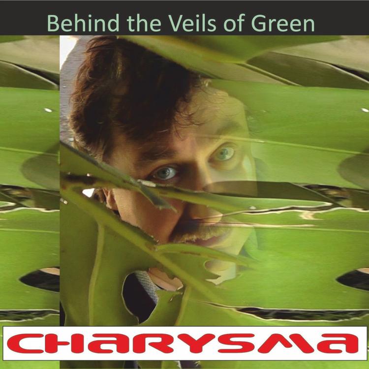 Charysma's avatar image