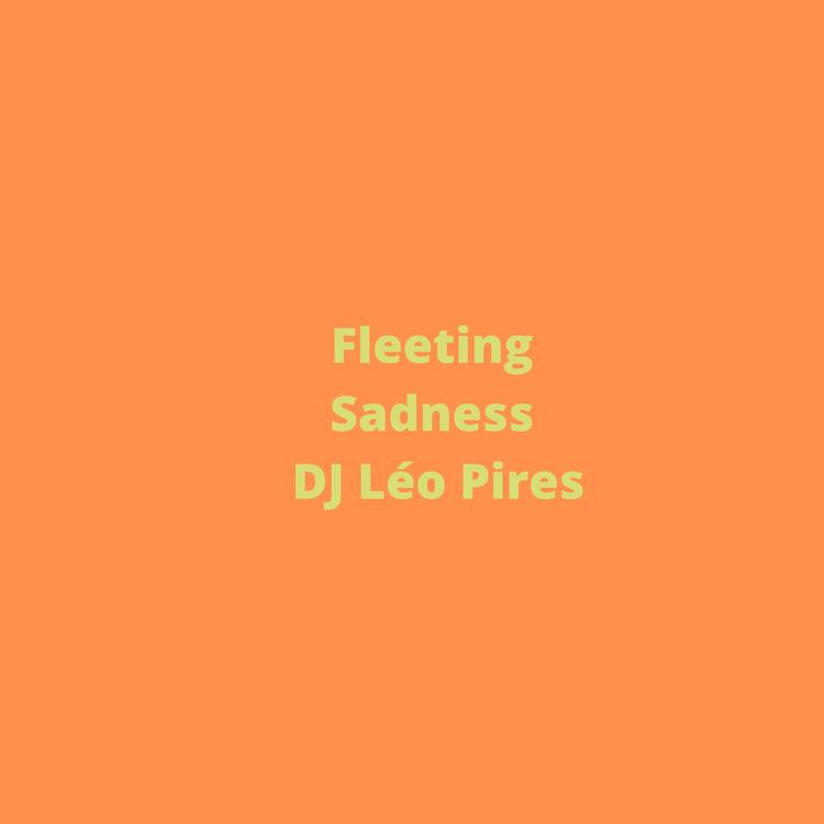 DJ Léo Pires's avatar image
