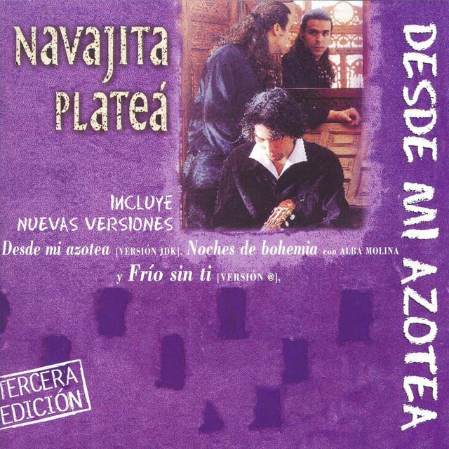 Navajita Platea's avatar image