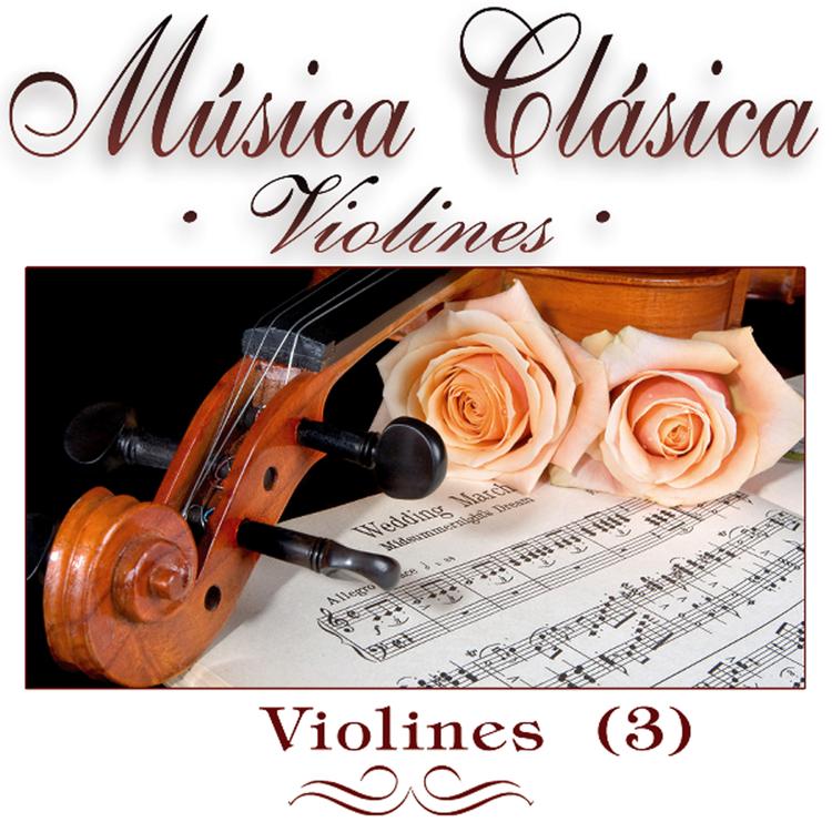 Viena Orchestra's avatar image