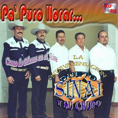Pa Puro Llorar's cover