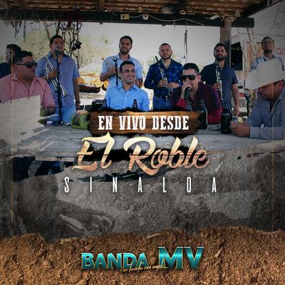 El Pajarillo (En Vivo) By Banda MV's cover