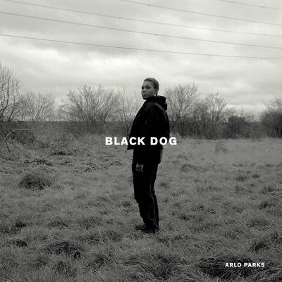 Black Dog's cover