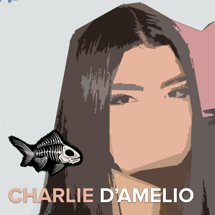 Charlie D'amelio's avatar image