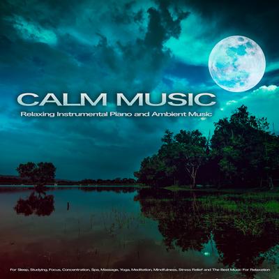 Calm Music By Calm Music, Relaxing Music, Soothing Music's cover