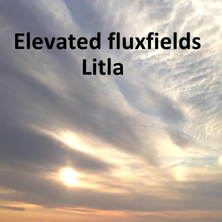 Elevated Fluxfields's avatar image
