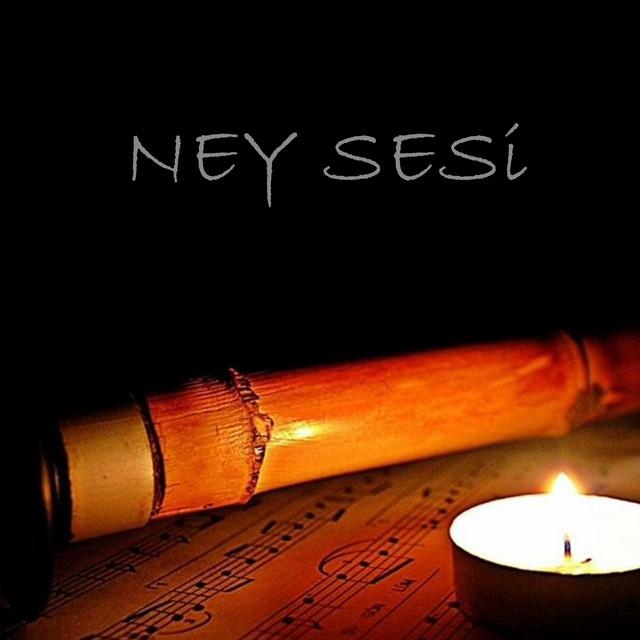 Ney Sesi's avatar image