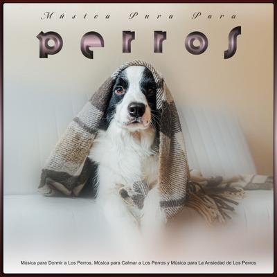 Música Pura Para Perros's cover