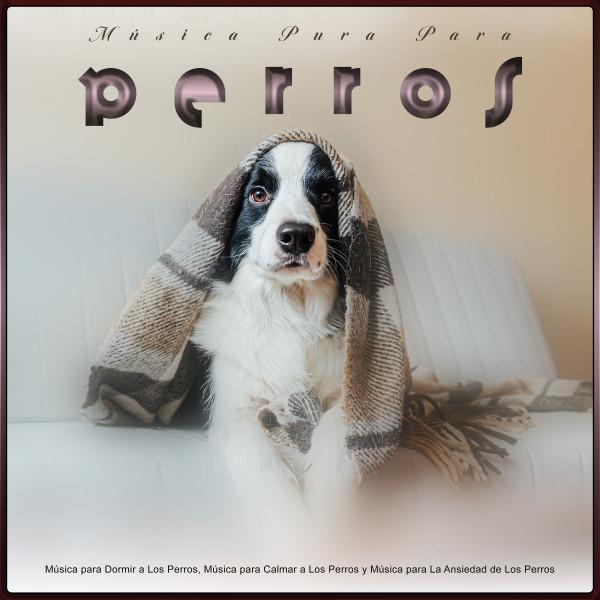 Música Pura Para Perros's avatar image