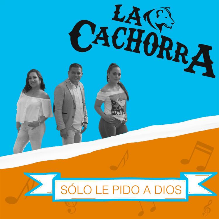 La Cachorra's avatar image