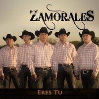 Zamorales's cover