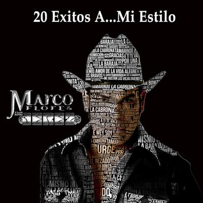 20 Exitos a… Mi Estilo's cover