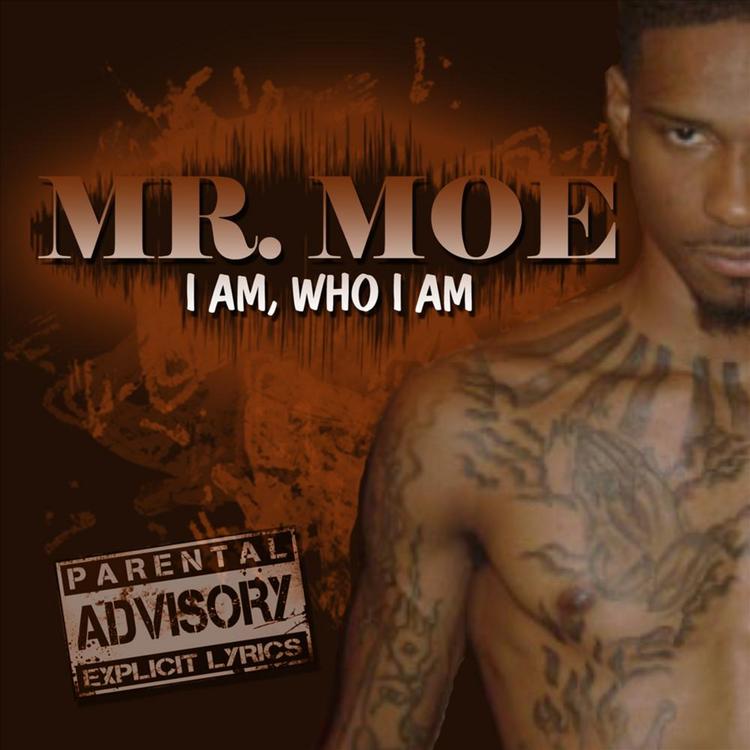 Mr. M.O.E's avatar image