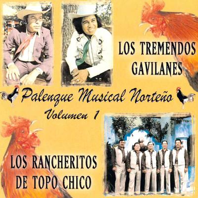 Palenque Musical Norteno, Vol. 1's cover