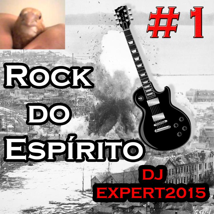 DJ Expert2015's avatar image