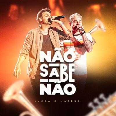 Não Sabe Não (Ao Vivo) By Lucca e Mateus's cover