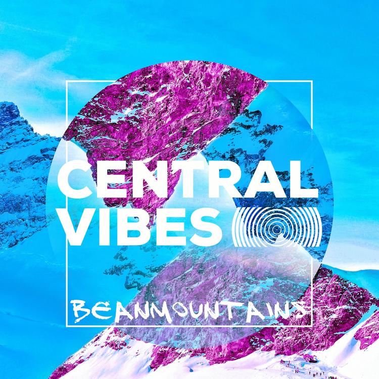 Central Vibes's avatar image