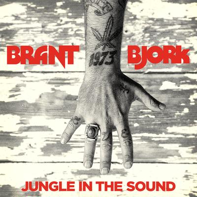 Jungle in the Sound By Brant Bjork's cover