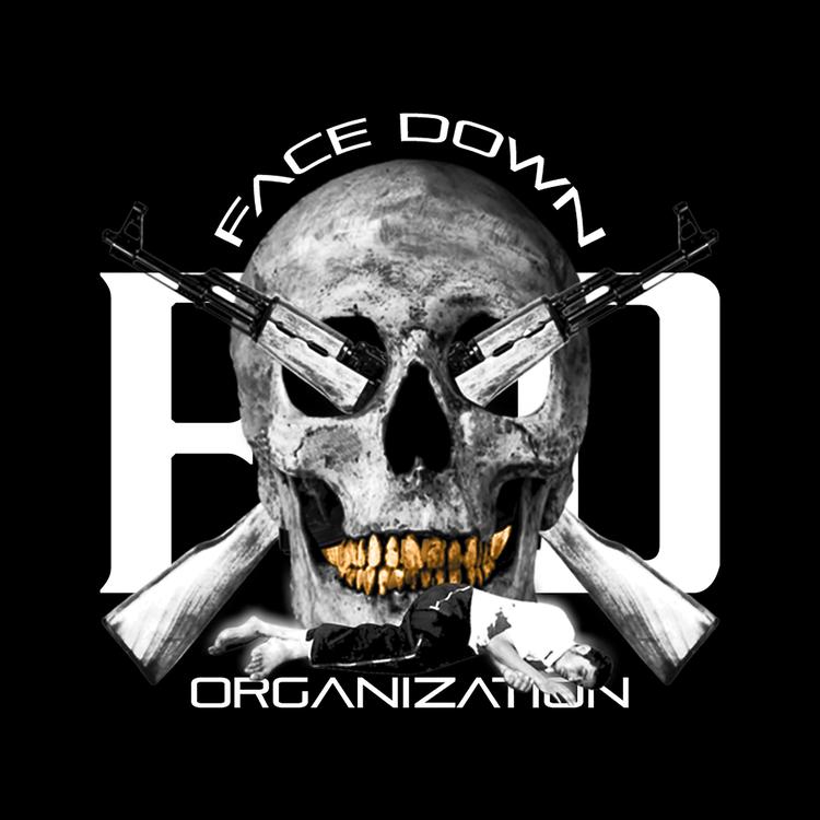 Face Down Organization's avatar image