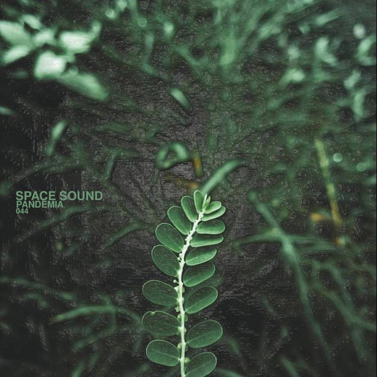 Space Sound's avatar image