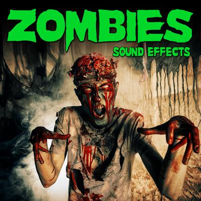 Zombie Hunters vs the Undead By Sound Ideas's cover