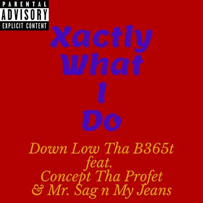 Xactly What I Do's cover