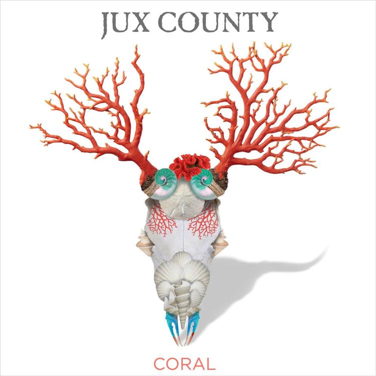 Jux County's avatar image