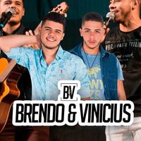 Brendo e Vinicius's avatar cover