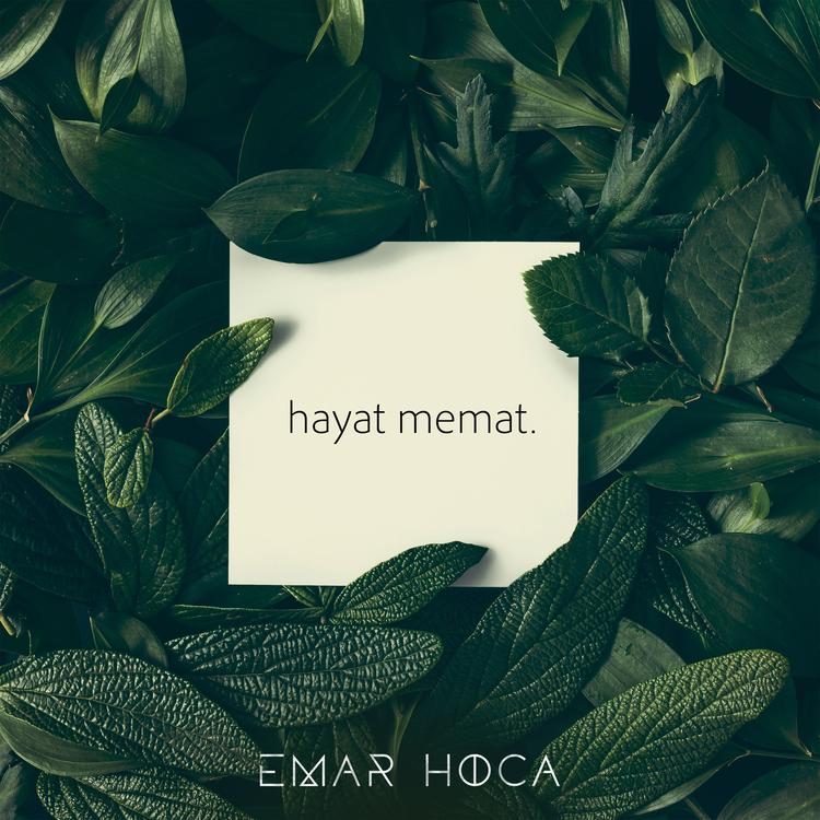 Emar Hoca's avatar image